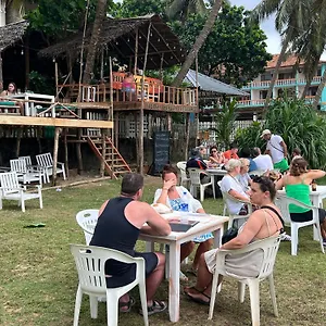 https://hostel-honey-beach.negombohotels.net
